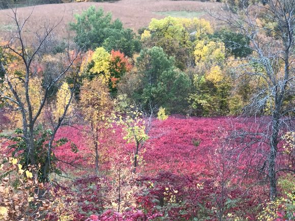 My favorite photo of the Park.