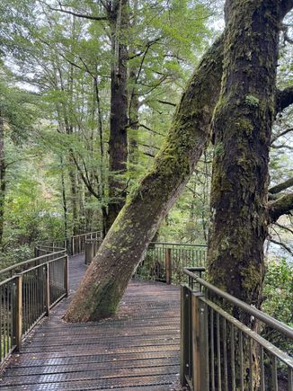 The boardwalk at Mirror Lakes