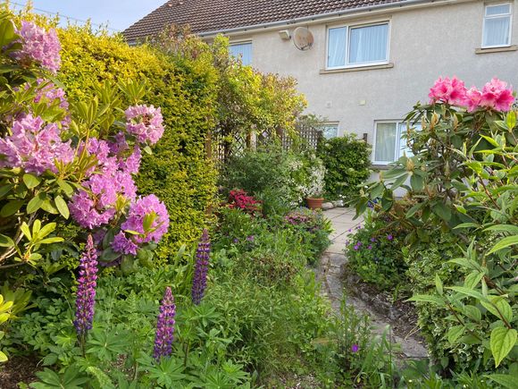 The gardens at Sunny Brae B&B