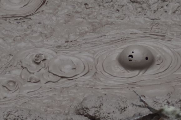 Mud Pool, Orakei Korako