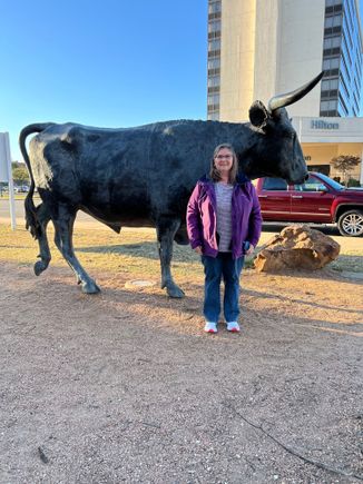Lots of bronze cattle in Waco.