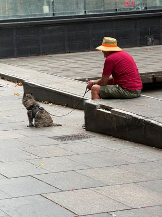 In Martin Place yesterday - 