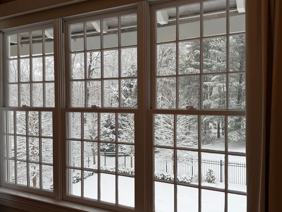 View from my cozy bed. 