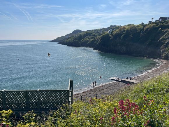 Back to Howth Harbor