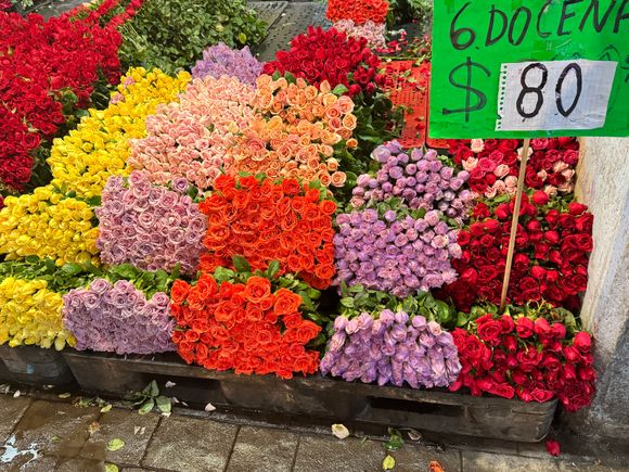 Roses in so many colors!