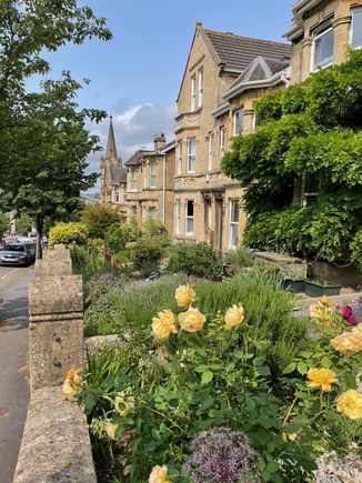 It's June and everything is blooming