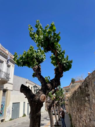 On our walk to Monastiraki