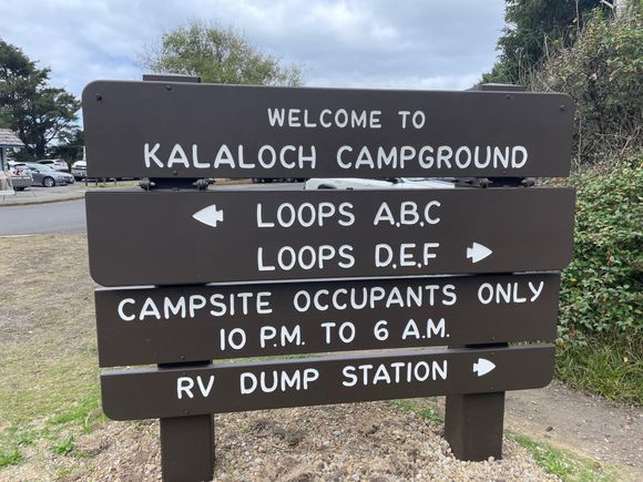 Quite a few campsites at this location.  All up on the bluff.