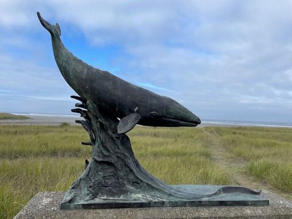 Small whale sculpture.  At one time there were some bones of beached whale, but we could only find a few in the grasss