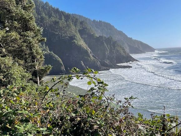 Looking down on the beach from the lighthouse.  You can see that the Oregon Coast is rounder, taller cliffs, the forest doesn't come right down to the beach like in Washington.  Maybe at some places?