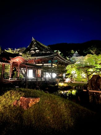 Such a different atmosphere visiting at night 