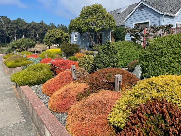 We saw this yard driving out of Trinadad.  Had to take a picture of this.