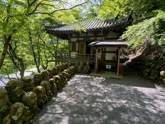 Groups of Rakan were situated everywhere.