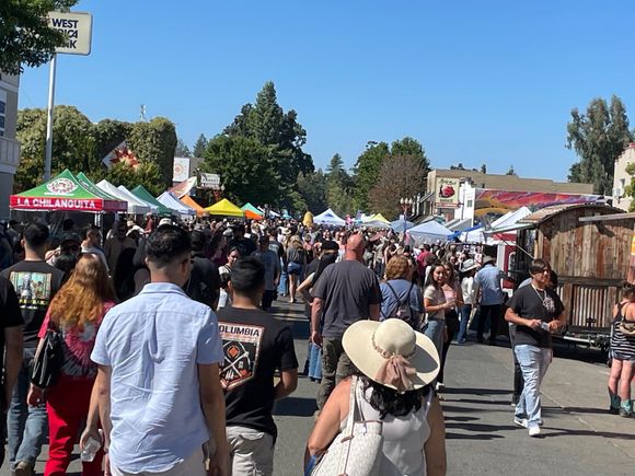 The festival is once a year and it was well attended and lots of arts and crafts.  I think Kelseyville has a historic downtown but we didn't get to see much of it because of all the people and stands.