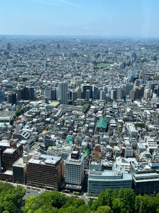 You can just make out Mt Fuji in the distance , right of midline