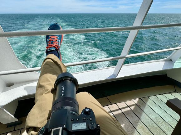 Chilling this afternoon looking for sea birds 