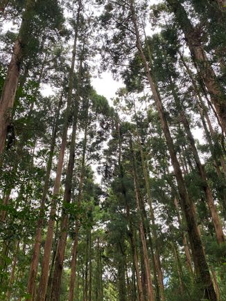 A wonderful walk into the beauty of the island 