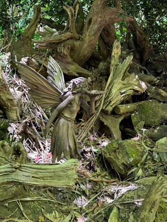 and a fairy!