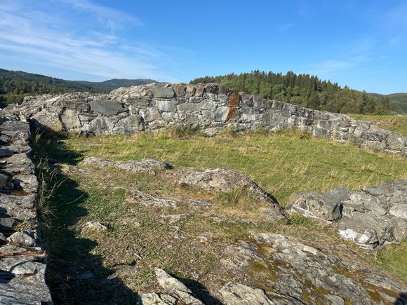 Castle ruin