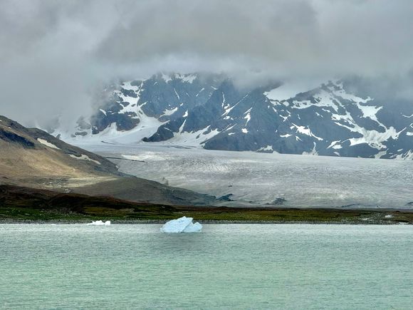 We zodiac to the distant beach where there’s the largest colony of King penguins in South Georgia. If we scroll in you can kinda see the ones lining the beach.