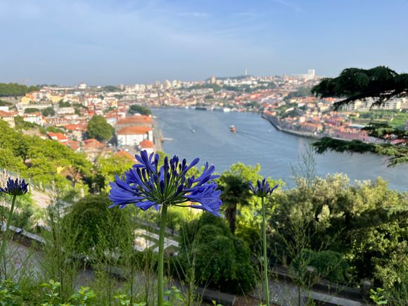View from the crystal palace garden 