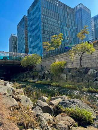 A popular walking path along a stream away in the middle of Seoul but obviously from the hustle and bustle of Seoul. It goes on for 5 miles.