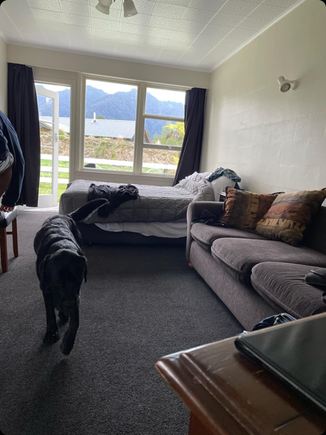 Checking out the potential