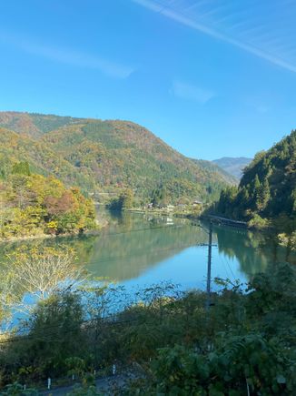 View from the train 