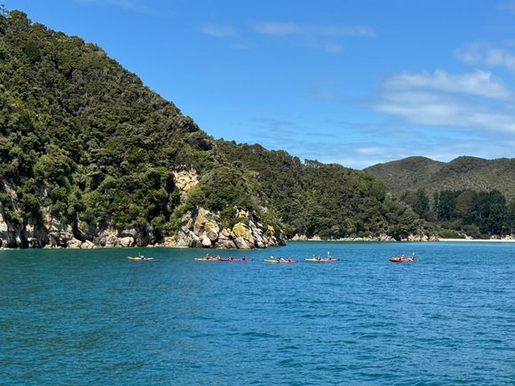 Kayakers in Awaroa Bay