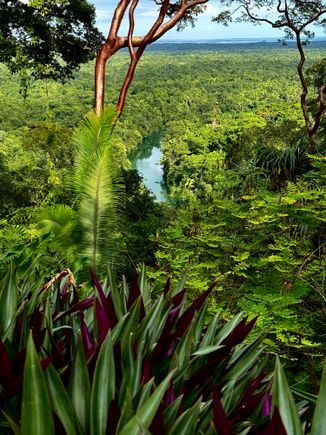 From our lodging area looking down on the Rio Grande