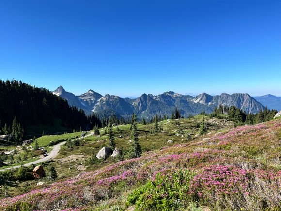 Turn around and the view is just as gorgeous 