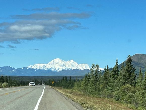 Pulled over on the side of Parks Hwy just past Cantwell. Did you notice the blue sky?