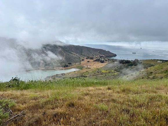 This entire view was shrouded in fog which magically lifted as soon as we reached the summit, but only for 10 minutes.