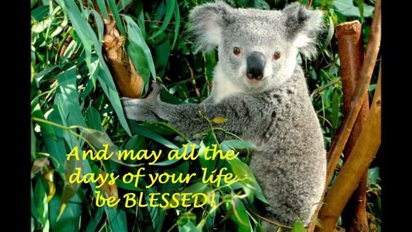 This guy wanted to join me in wishing you a Most Blessed Life.  