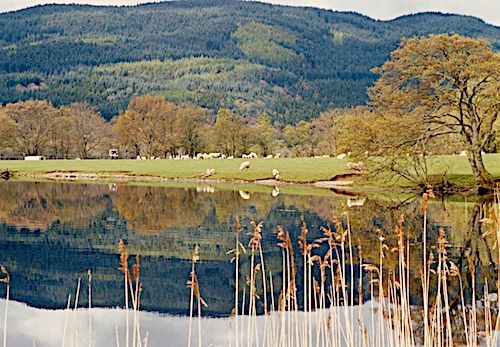 Another view of the Lake of Menteith