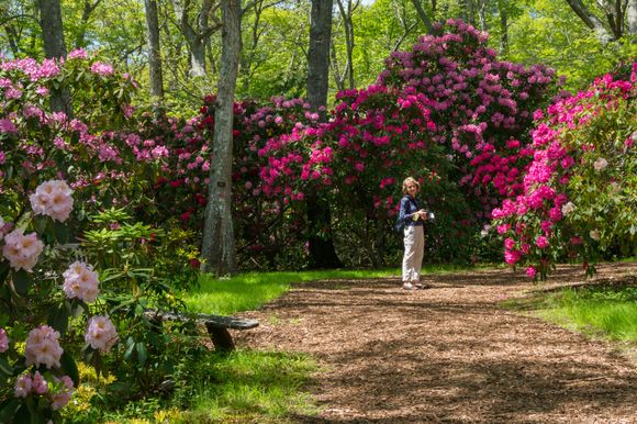 After the 8th attempt.... Anyhoo, Heritage Gardens were gorgeous!