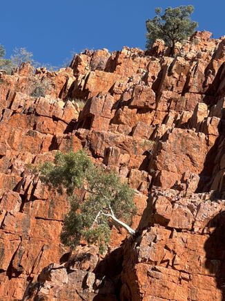 The gorge walls looked as if they'd been made by giant bricks
