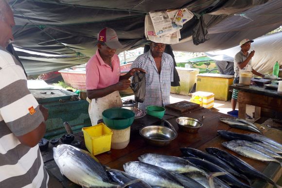 Fish market