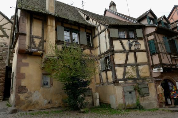 Such beauty in the age