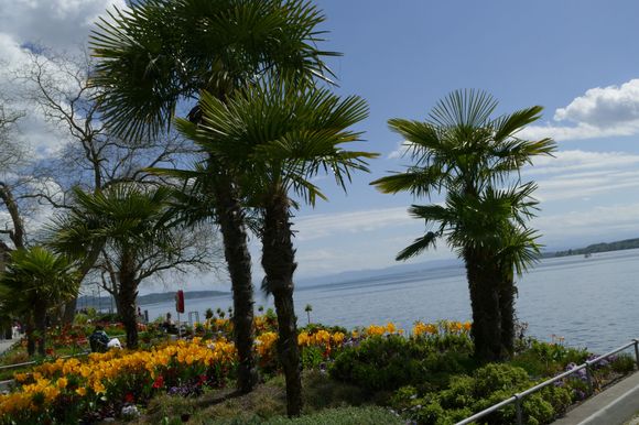 Ahhh flowers and trees and lake.