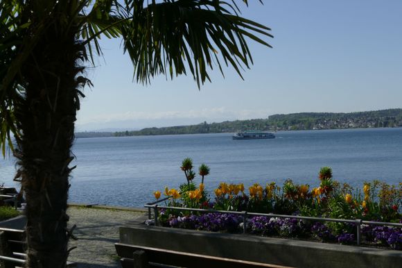 Someone maybe enroute to Mainau
