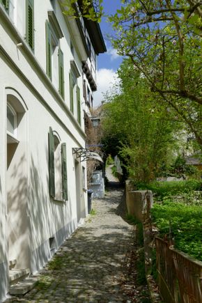 Little trails and alleys are everywhere, and I wish I could follow them all.