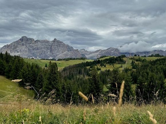 Some of the expansive area beyond Col Alt. We explored a bit, and were back up in this area the following day.