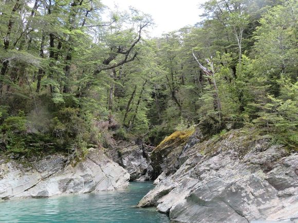 Rockburn (rocks carved by the river), on the Dart River