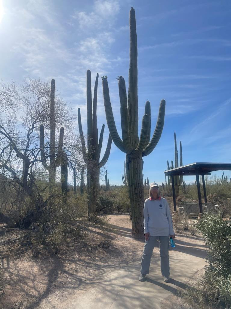 Saguaro National Park