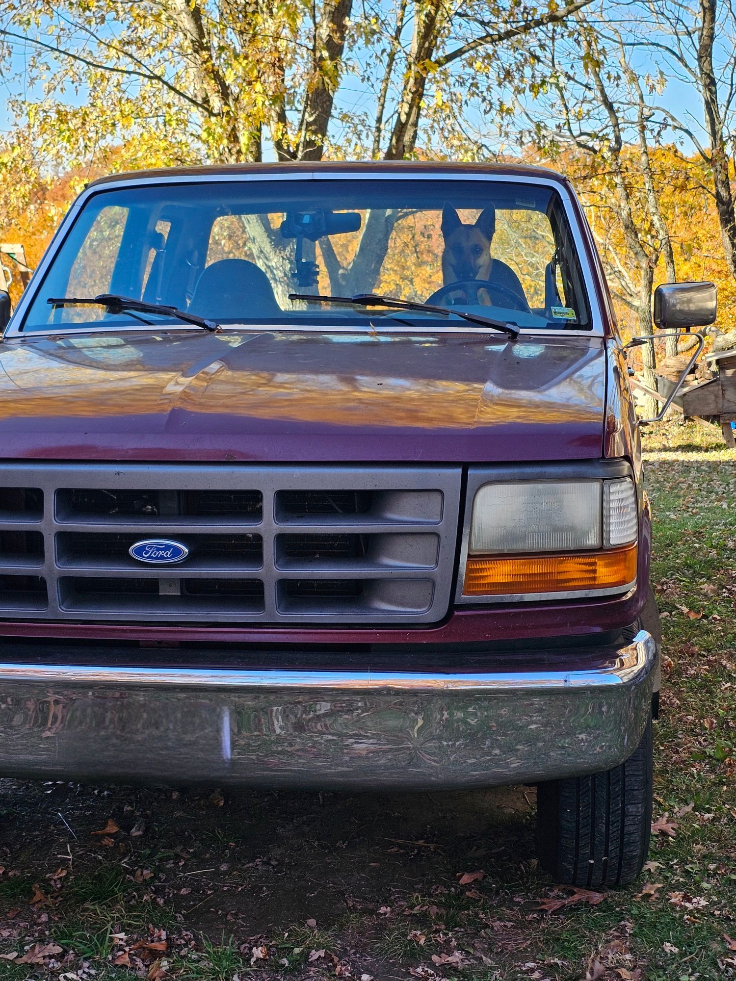 1996 F150 hood stuck closed and other issues Ford Truck Enthusiasts Forums