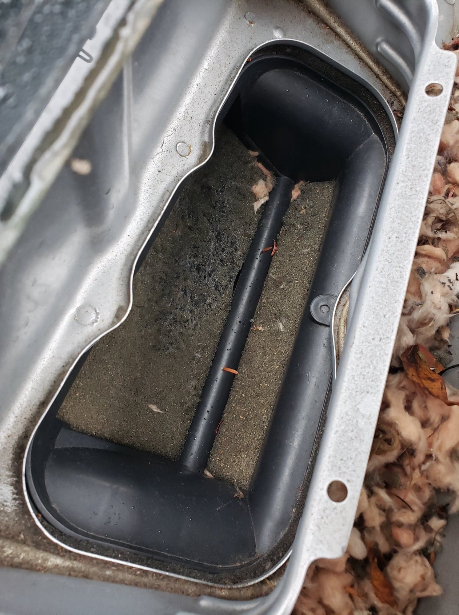 Mice in Cabin Air Filter 2019 Superduty Ford Truck Enthusiasts Forums