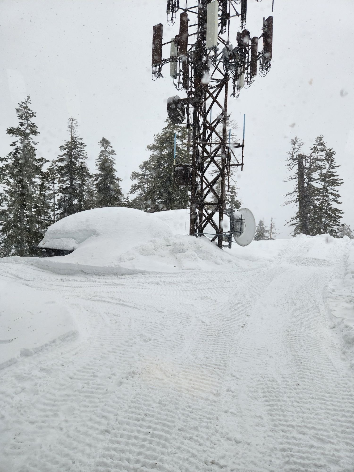 This MW dish, the bottom is appx 18' with the CL of 20'