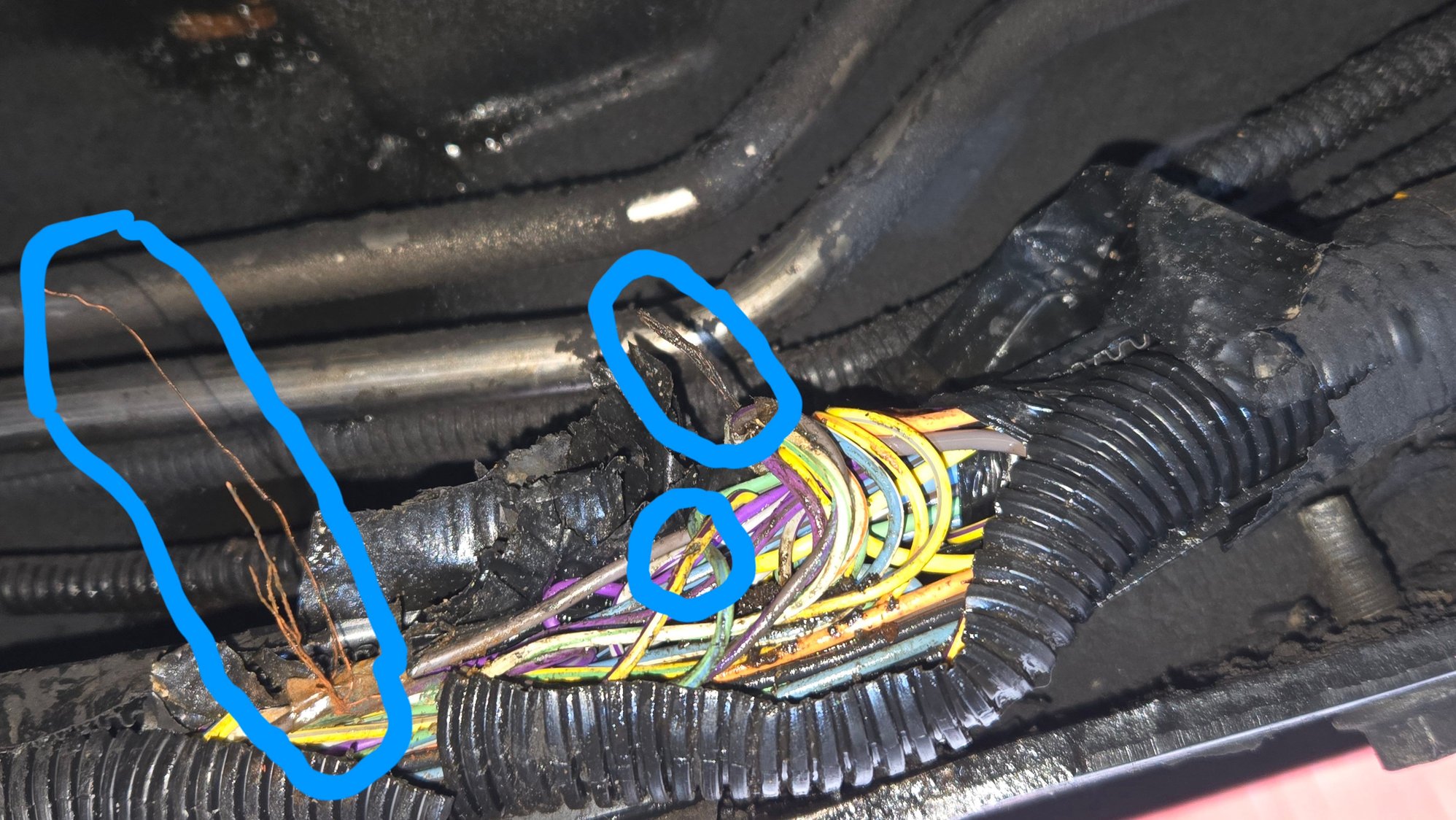 Used shrink tube butt splices with solder in them after cleaning the wires. I now have my rear camera back. 