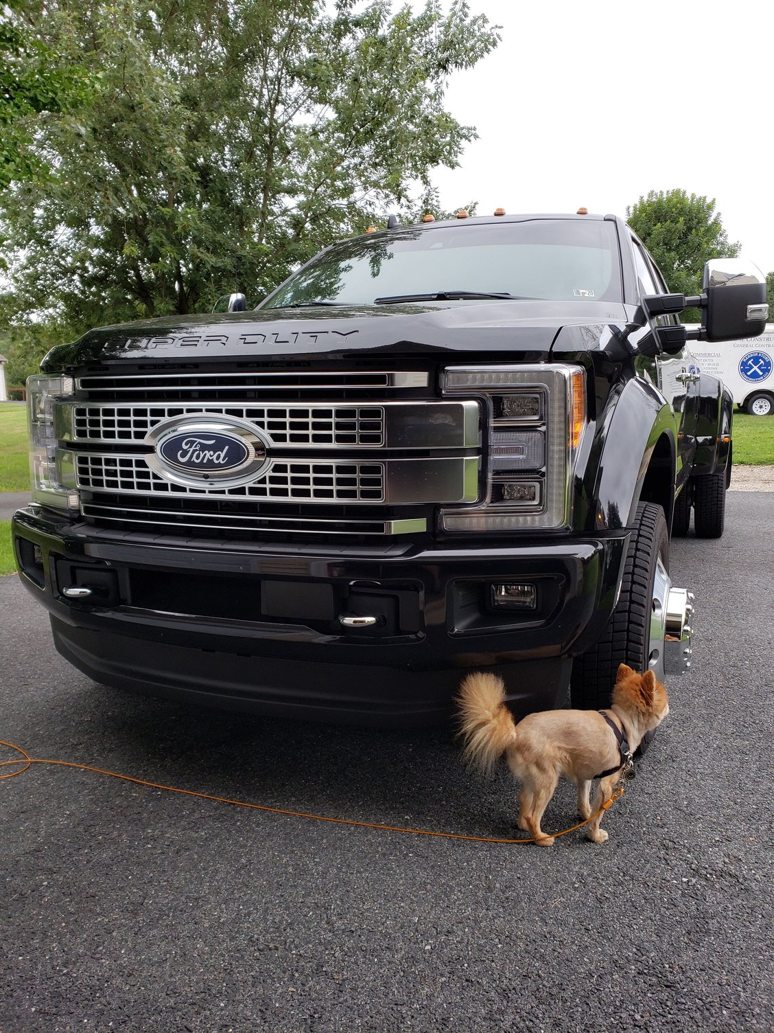 Dogs and our Trucks Pics Page 13 Ford Truck Enthusiasts Forums